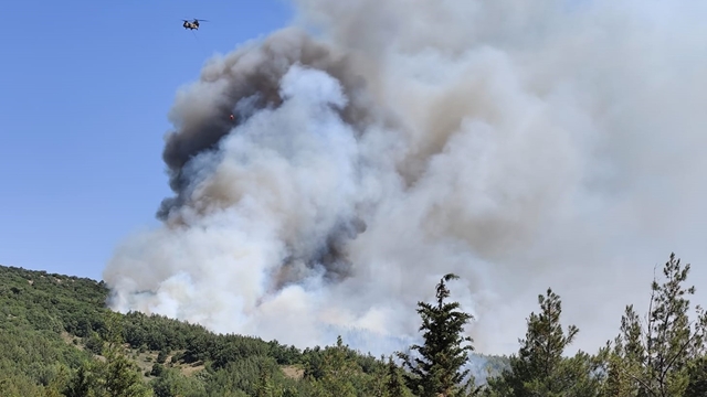 Balıkesir'de çıkan orman yangınına müdahale ediliyor