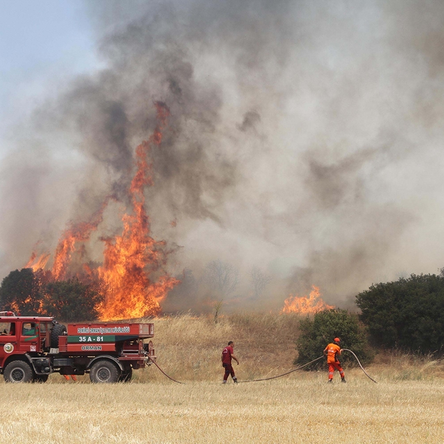 Manisa'da makilik yangını 3 saatte kontrol altında