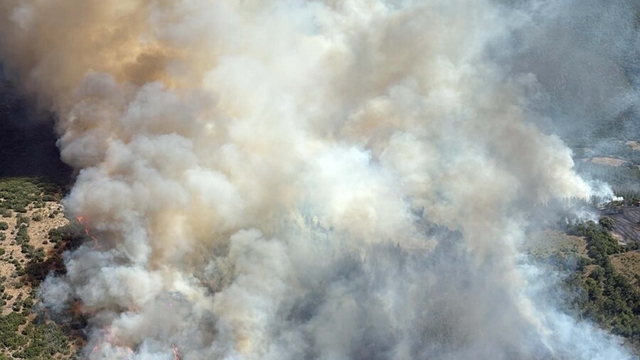 Balıkesir'de orman yangını