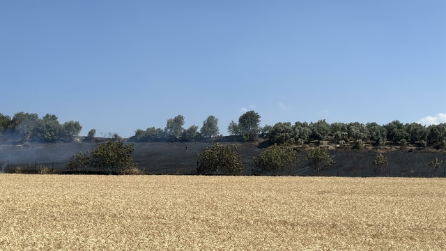 Çanakkale'de tarım arazisinde yangın (2)