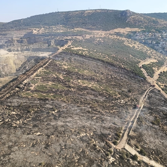 İzmir'de makilik alanda çıkan yangın kontrol altına alındı
