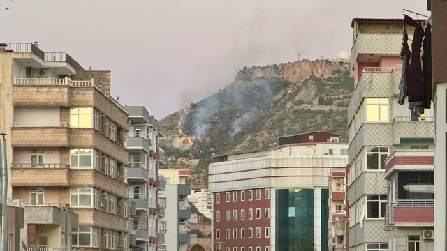 Mardin'de tarihi kale eteklerinde çıkan örtü yangını kontrol altına alındı