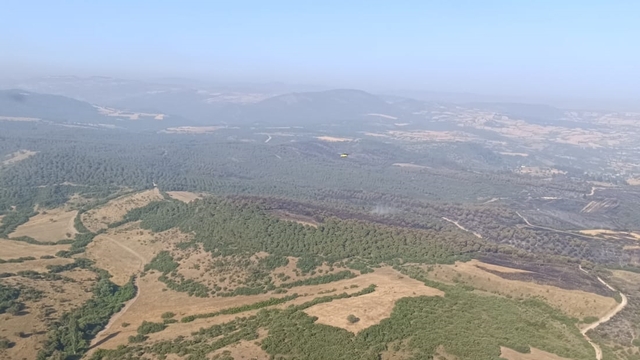 Balıkesir'in Kepsut ilçesindeki orman yangınları kontrol altına alındı