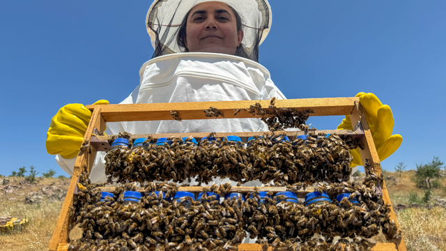 Devletin kovan desteği iş kurmak isteyen kadın arıcıyı cesaretlendirdi