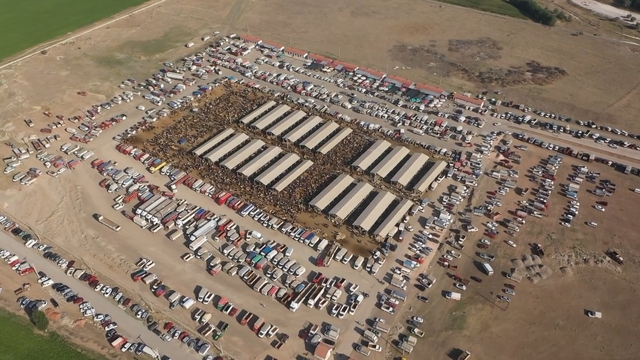Sivas'ta şap nedeniyle hayvan pazarları tedbiren kapatıldı