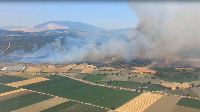 İzmir'de orman yangını