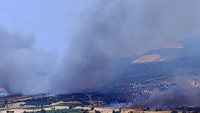 İzmir'de çıkan orman yangınına müdahale ediliyor