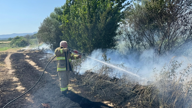 Balıkesir'de çıkan yangında 12 dekarlık arpa tarlası zarar gördü