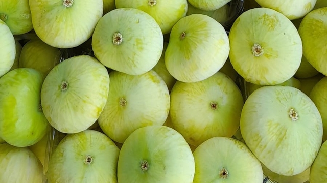 Mut beyazı inciri için coğrafi işaret başvurusunda bulunulacak