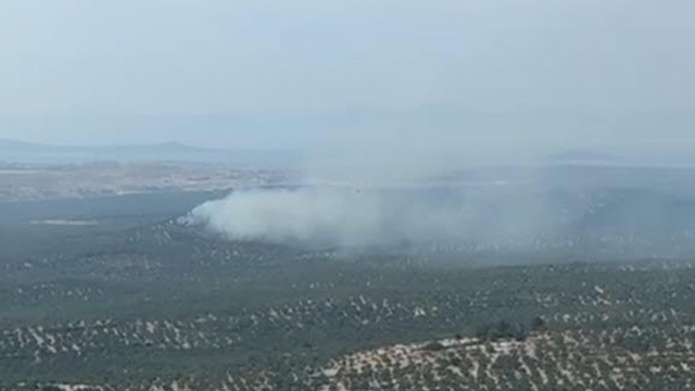 Balıkesir'de zeytinlik yangını