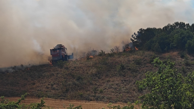 Bursa'da çıkan orman yangınına müdahale ediliyor