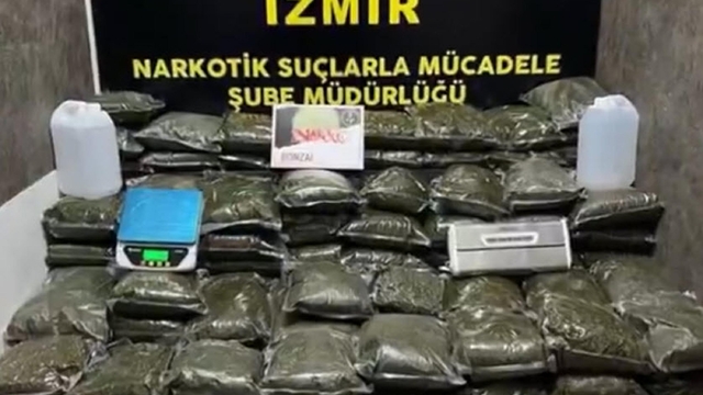 İzmir'de 126 kilo bonzai ele geçirildi