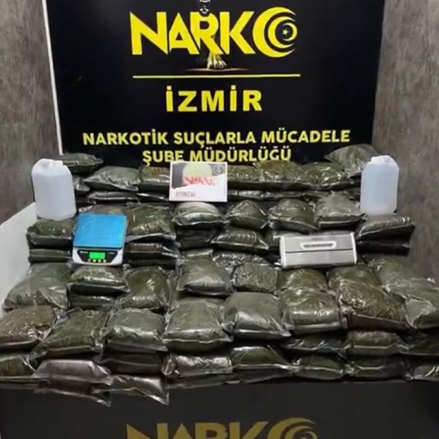 İzmir'de 126 kilo bonzai ele geçirildi