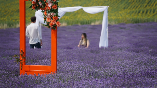 Tekirdağ'da öğrenciler lavanta tarlasında karne sevinci yaşadı