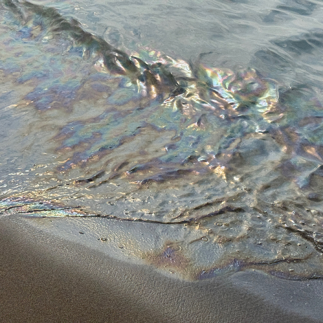 Bartın'da denizde oluşan kirliliğe ilişkin inceleme başlatıldı