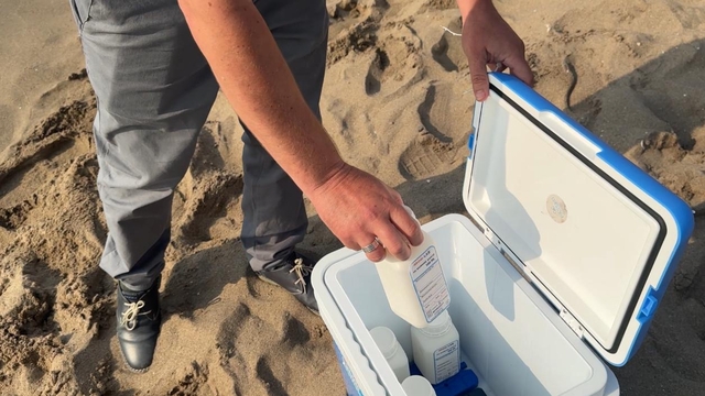 Bartın'da mavi bayraklı plajda kirlilik; denize girmek yasaklandı