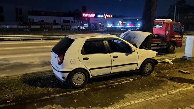 Bursa'da ağaca çarpan otomobildeki 2 kişi yaralandı