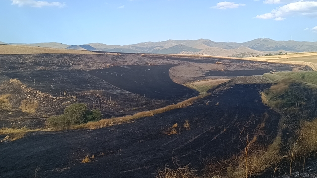 Afyonkarahisar'da tarım arazisinde çıkan yangın söndürüldü