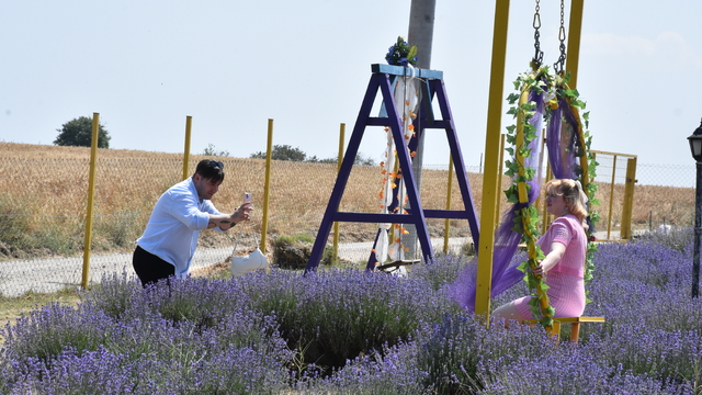 Tekirdağ'da lavanta bahçeleri fotoğraf tutkunlarını ağırlıyor