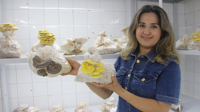 Çocuklara mantarı sevdirecek renkli üretim