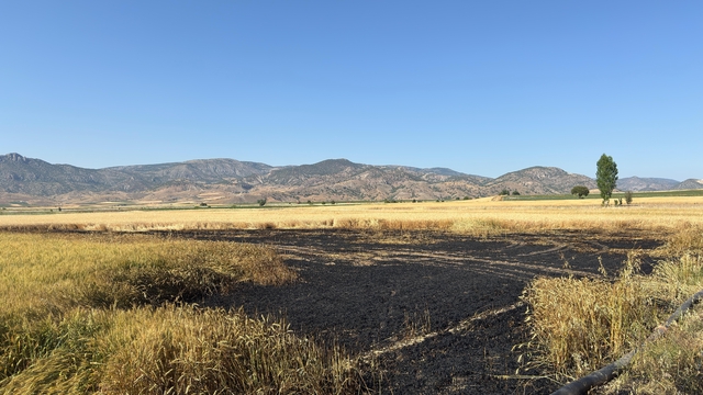 Yozgat'ta çıkan yangında 20 dönüm ekili alan zarar gördü