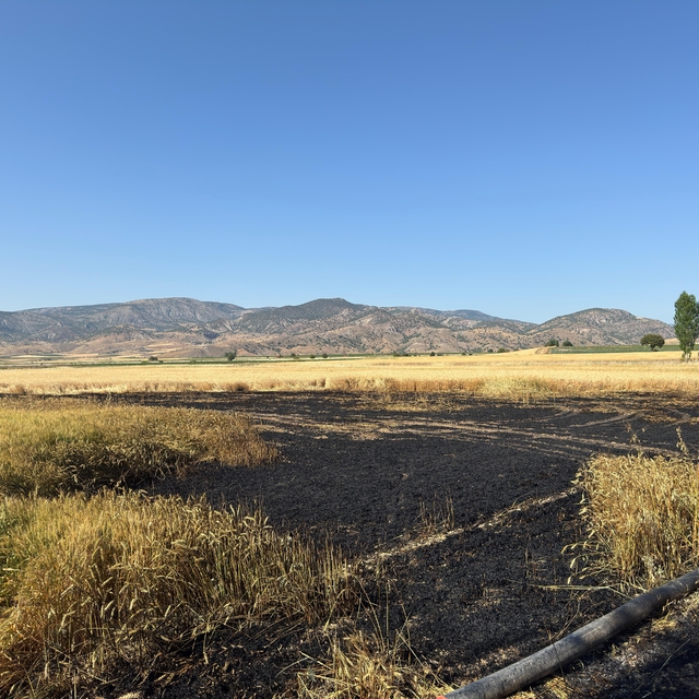 Yozgat'ta çıkan yangında 20 dönüm ekili alan zarar gördü
