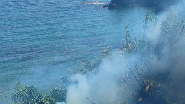 Alanya'da çalılık alanda çıkan yangın itfaiye ekiplerince söndürüldü