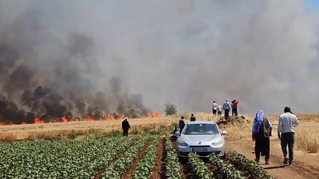 Şanlıurfa'da tarla yangını: 1'i ağır 5 yaralı