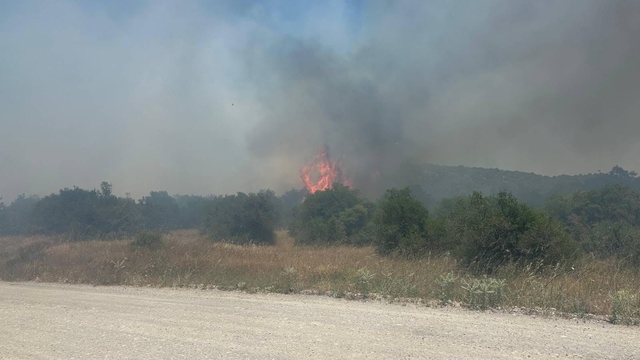 Balıkesir'in İvrindi ilçesinde çıkan orman yangını kontrol altında