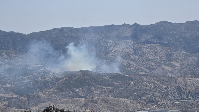 Şırnak'ta örtü yangını