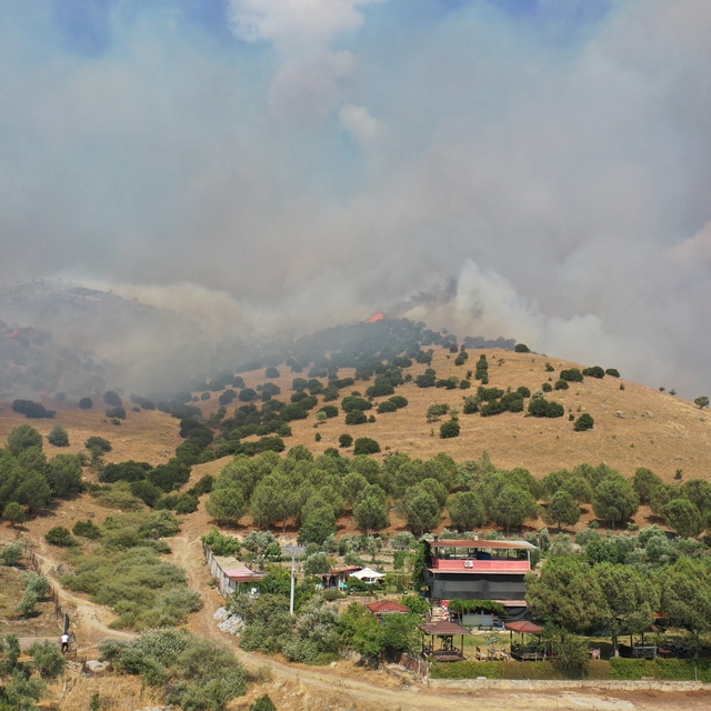 Aydın'da ziraat alanı ve makilikteki yangına müdahale ediliyor