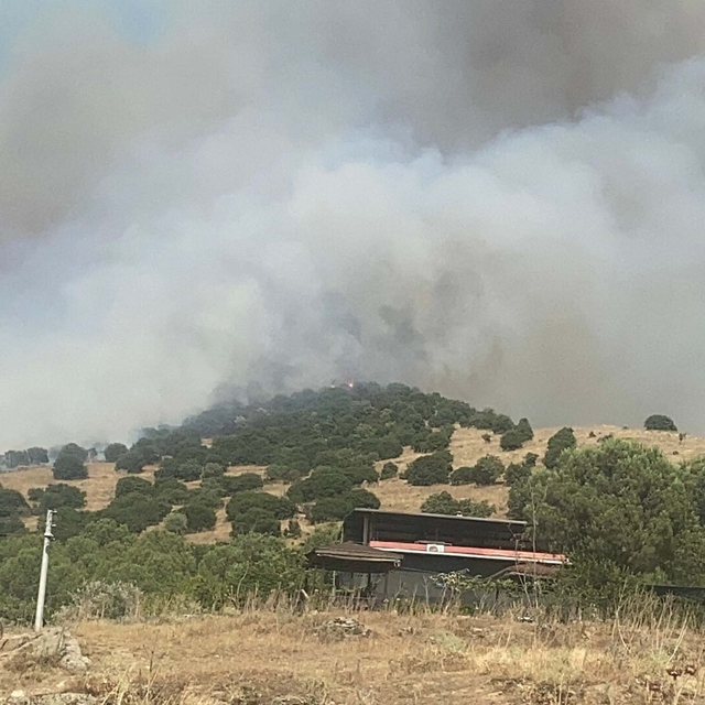 Aydın'da orman yangını