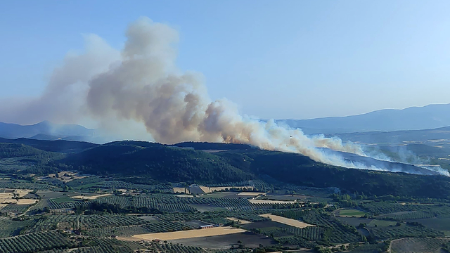 Manisa'da orman yangınına müdahale ediliyor