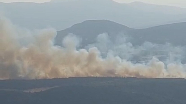 Manisa'da orman yangını