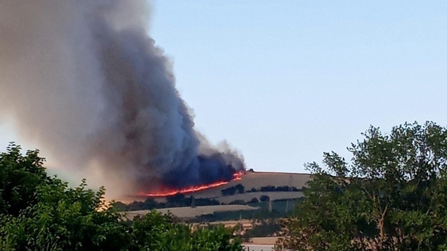 Tekirdağ'da 200 dönüm buğday tarlası yandı