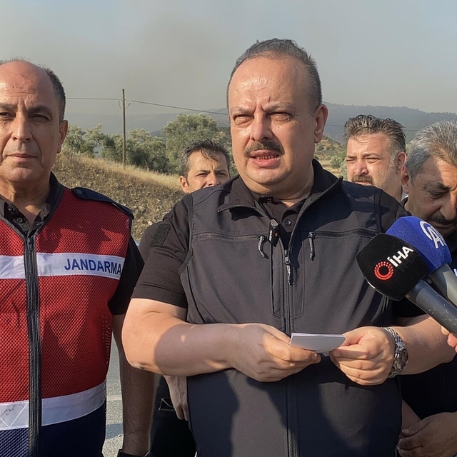 Aydın'da orman yangını (2)