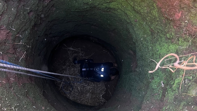 Mardin'de kuyuya düşen koyun kurtarıldı