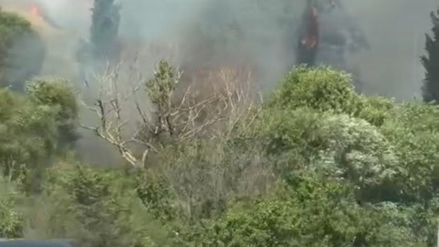 Kocaeli'de yol kenarında çıkıp ormana sıçrayan yangın, 2 saatte söndürüldü