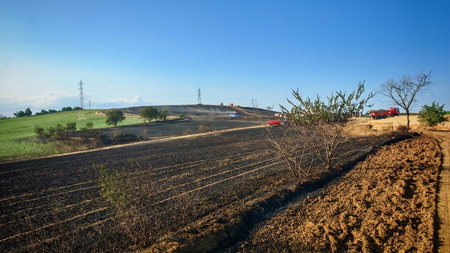 Tekirdağ'da 200 dekar buğday ekili alan yandı