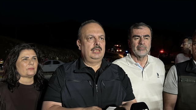 Aydın'da orman yangını (3)