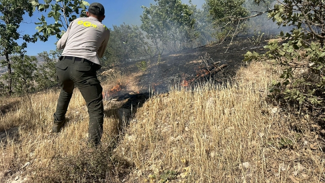 Şırnak'ta örtü yangını (2)