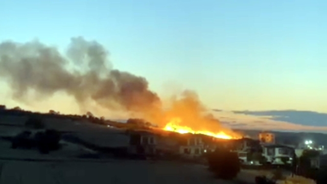 Düğünde atılan havai fişek, ekili buğday tarlasını yaktı