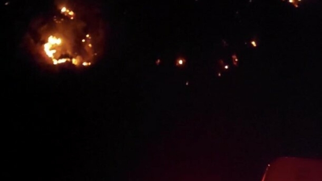 Aydın'da orman yangını (4)