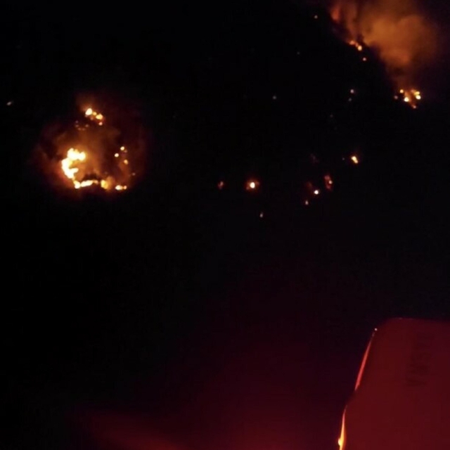 Aydın'da orman yangını (4)