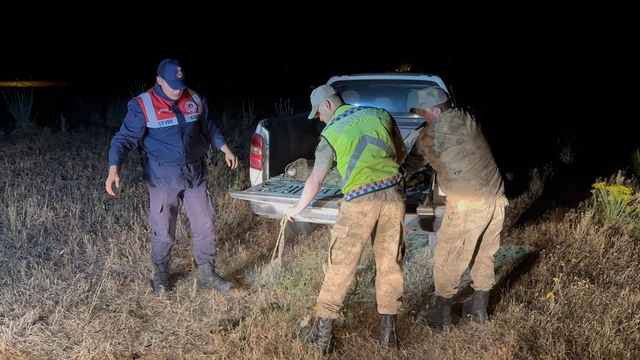 Van'da kaçak avlanan 1 ton 500 kilogram inci kefali suya geri bırakıldı