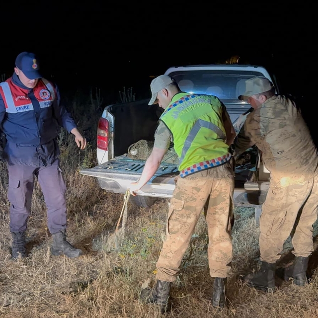 Van'da kaçak avlanan 1 ton 500 kilogram inci kefali suya geri bırakıldı