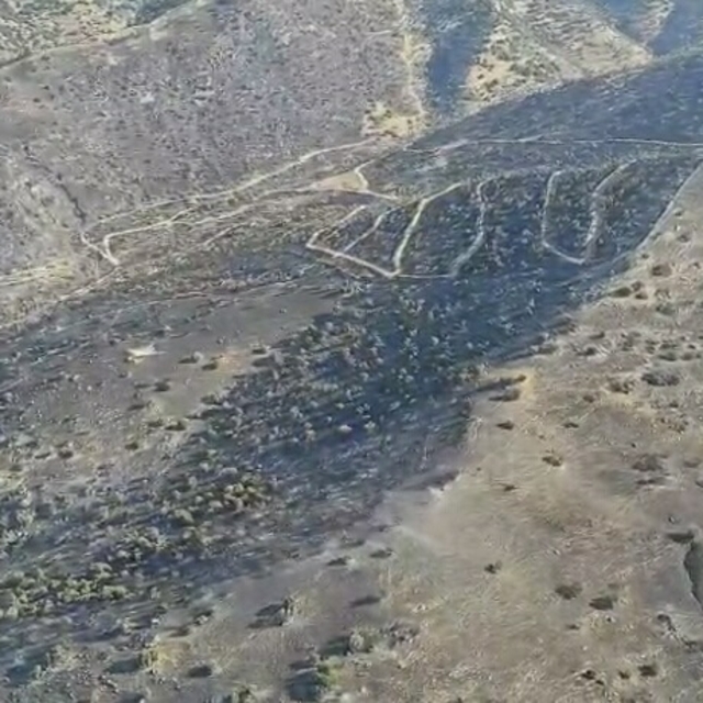 Aydın'da orman yangını kontrol altında; 320 hektar alan zarar gördü