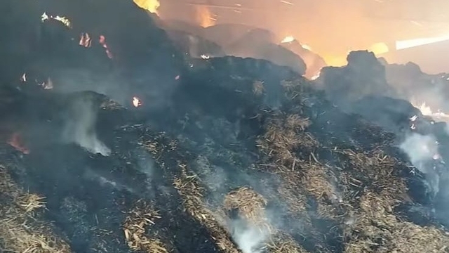 Salihli'de çiftlikte çıkan yangın söndürüldü