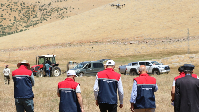 Siirt'te çekirgelere karşı dronla ilaçlama yapılıyor
