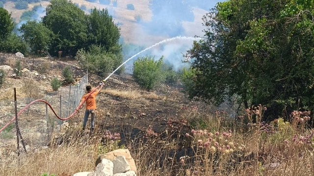 Antalya'da makilik alanda çıkan yangınına müdahale ediliyor
